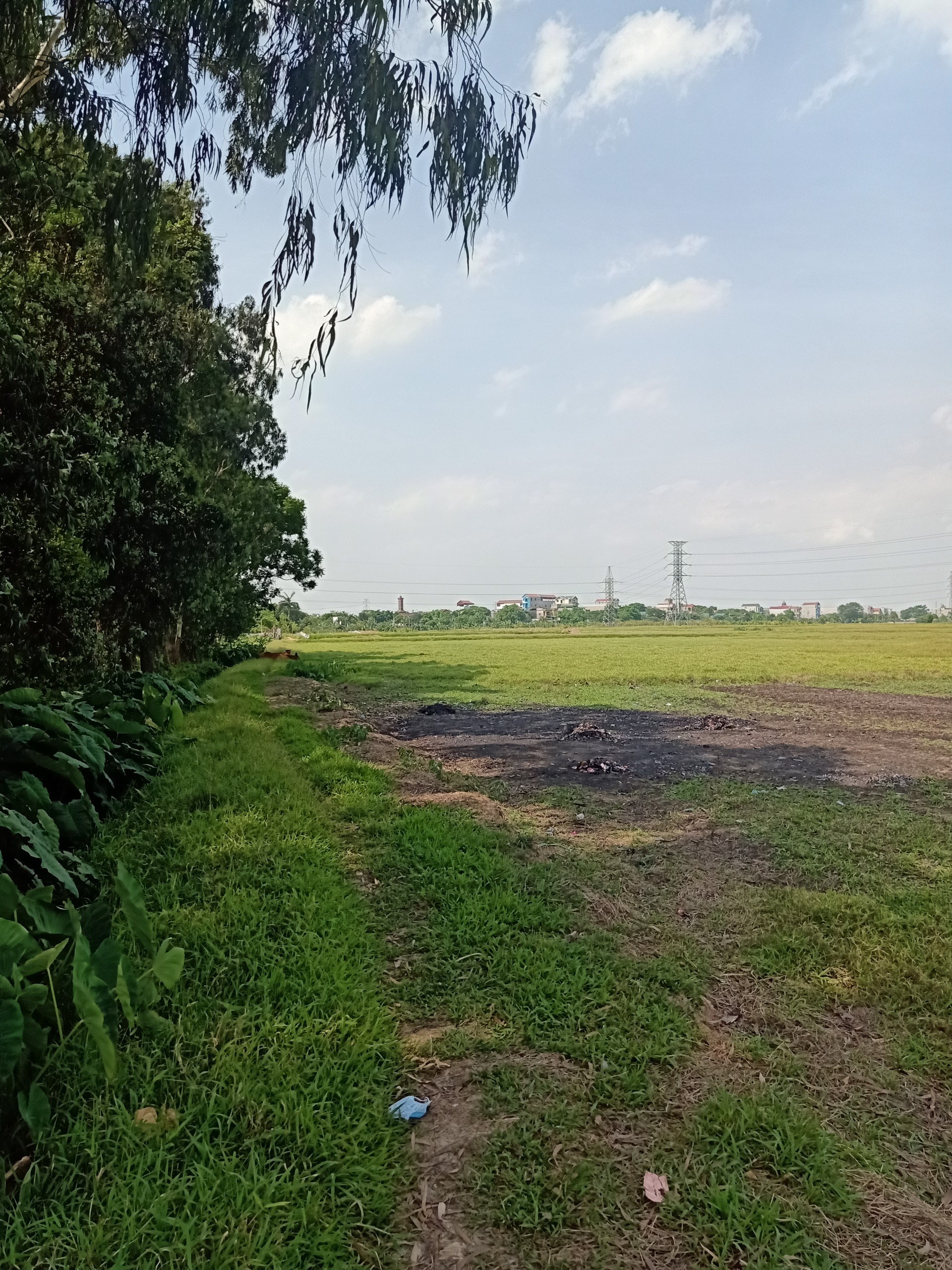 Bán 5ha đất kho nhà xưởng 50 năm tại Huyện Hiệp Hòa, Bắc Giang