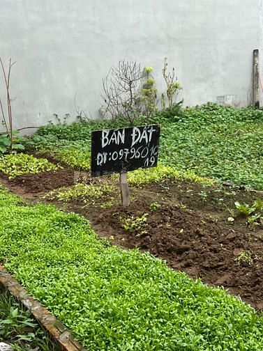 Chính chủ bán lô đất ngõ 83/21 tổ 1 Phúc Lợi, quận Long Biên