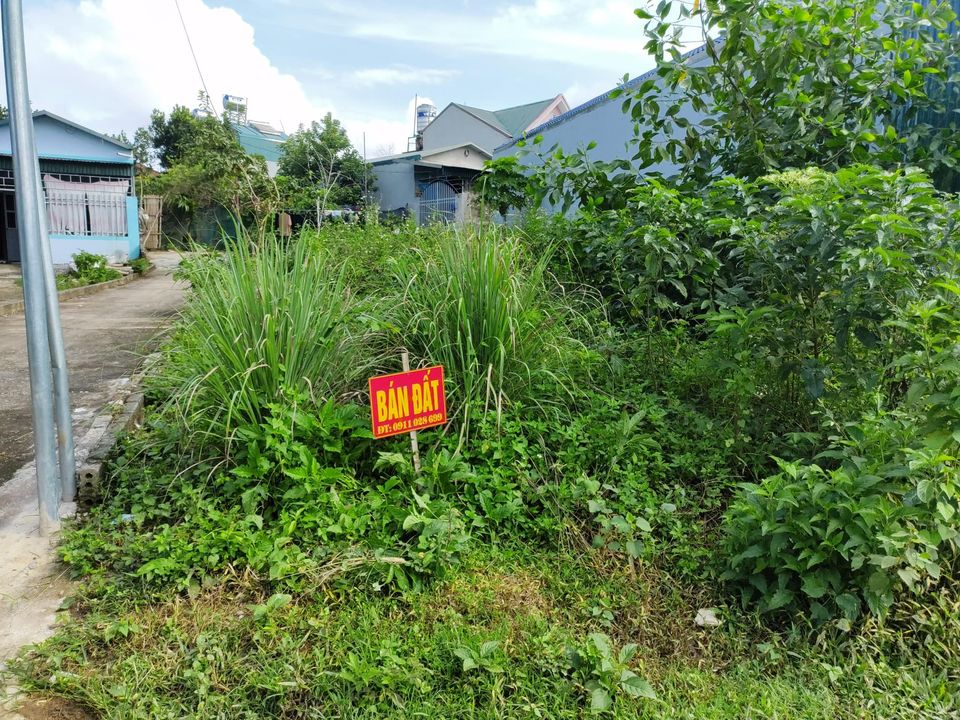 Bán nhanh mảnh đất tại đội 8 xã Thanh Xương