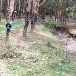  50000m2 - 5