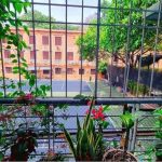  50m2 - 7
