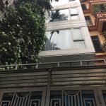  100m2 - 1