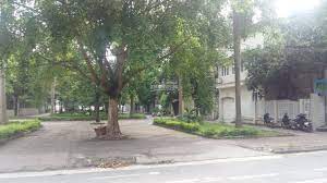 Chính chủ bán 176m2 đất đấu giá Vườn Đào, Quận Tây Hồ, mặt tiền 11m giá 55,6 tỷ