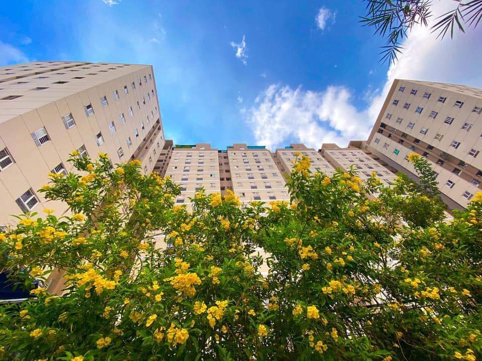 CHÍNH CHỦ CHO THUÊ CĂN HỘ CHUNG CƯ Fist Home Thạnh Lộc QUẬN 12