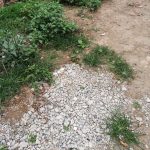  100m2 - 1