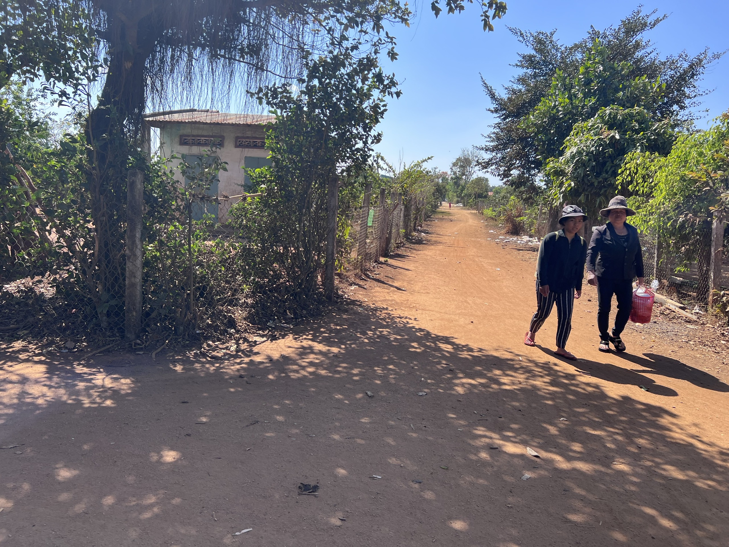 BÁN 300 LÔ ĐẤT GIA LAI ĐẤT DAK DOA - HÀ BẦU