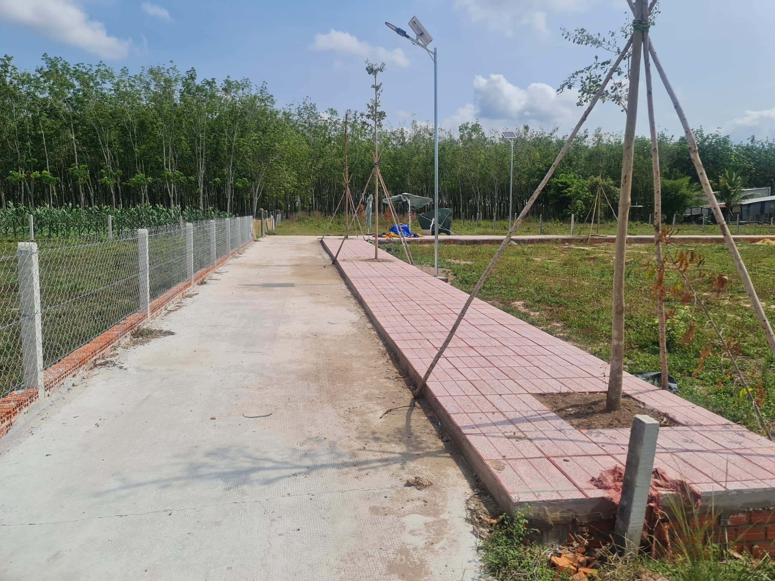 Còn 2 lô full thổ cư ngay cạnh KCN Hiệp Thạnh, giá chỉ 810 triệu, Có vỉa hè cây xanh