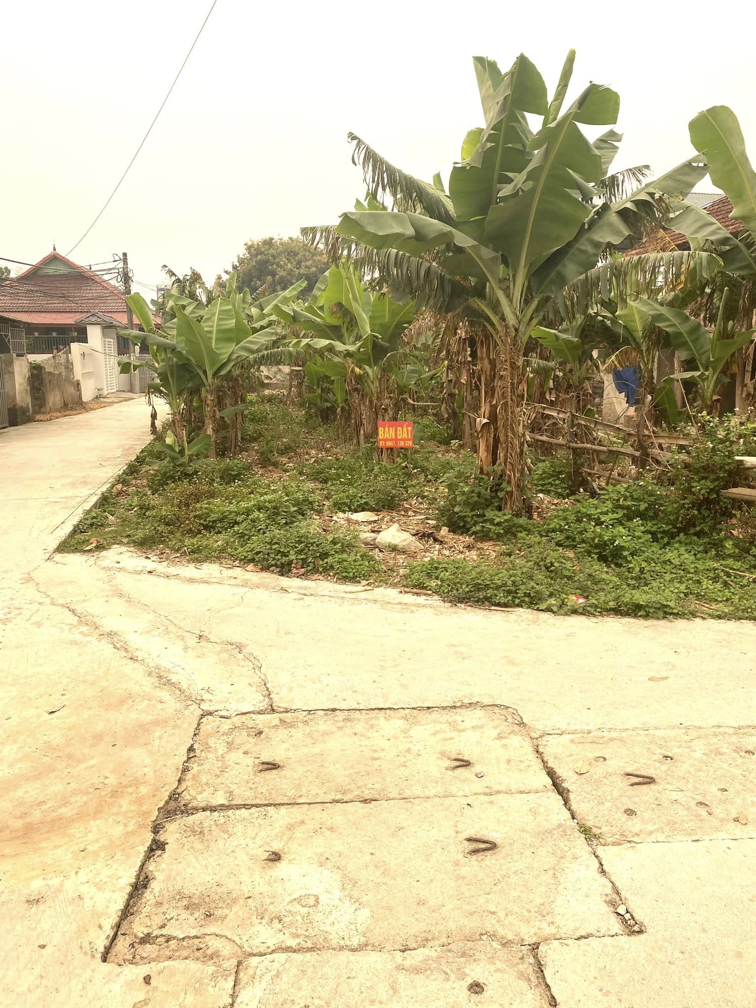 Bán nhanh mảnh đất 2 mặt tiền tại bản Na Lanh, phường Thanh Trường