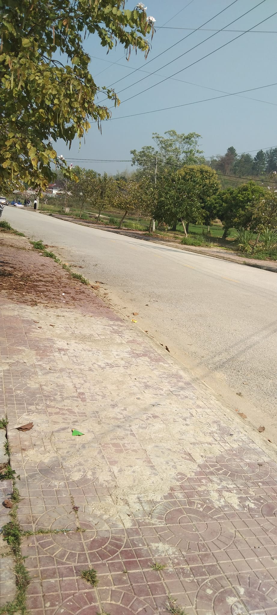 Bán đất mặt đường to kinh doanh buôn bán tốt - phường Him Lam