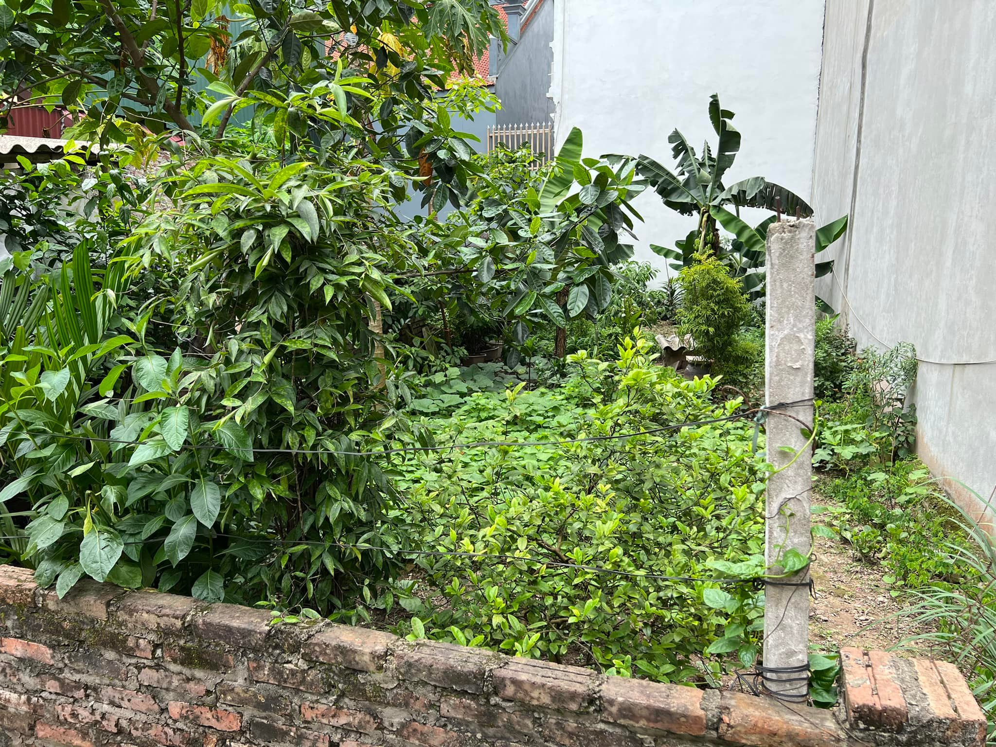 Chính chủ nhờ bán 65m² đất phố Phúc Lợi, Long Biên, Hà Nội, giá hơn 3 tỷ.