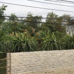 105m2