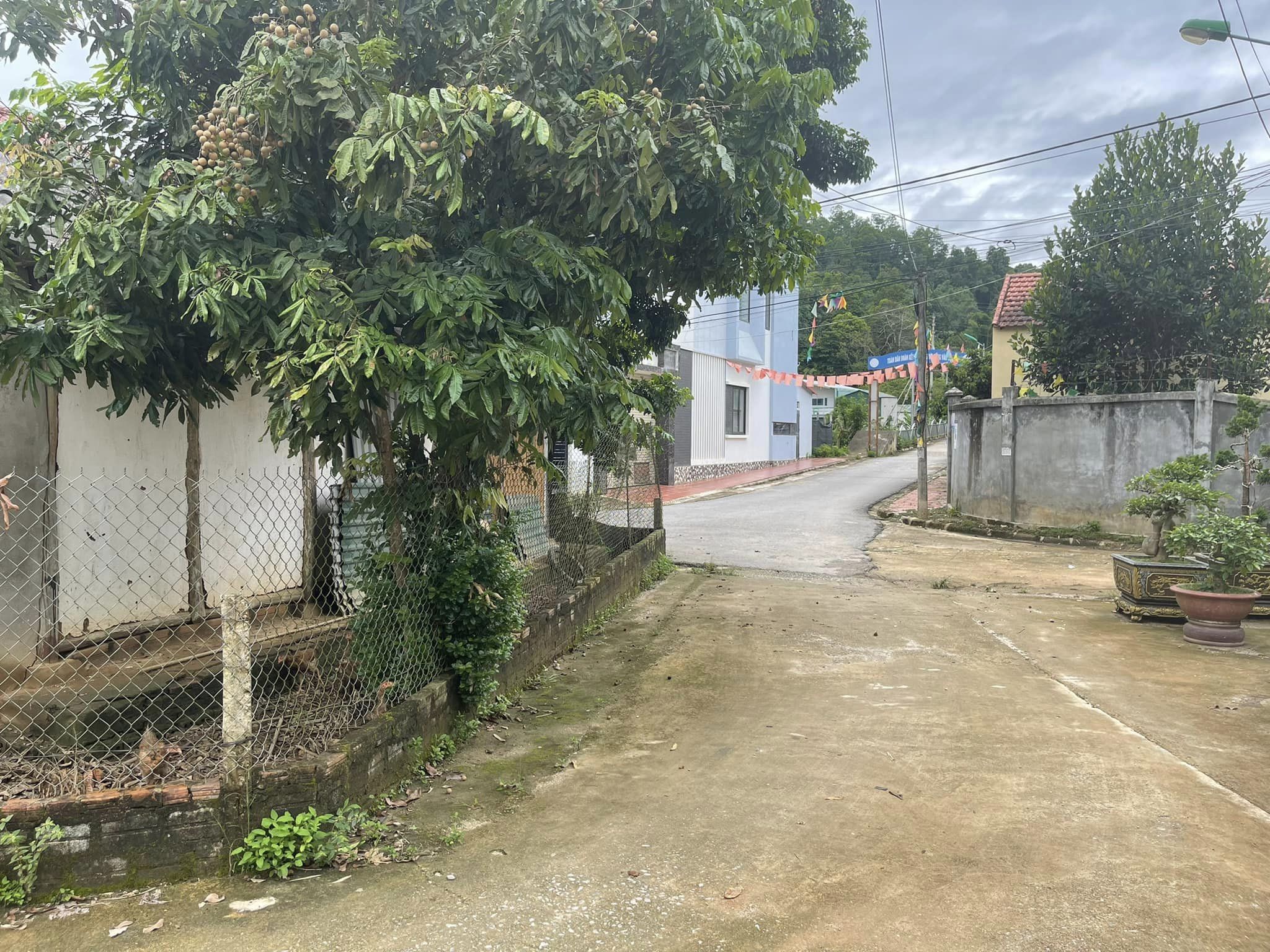 220m2