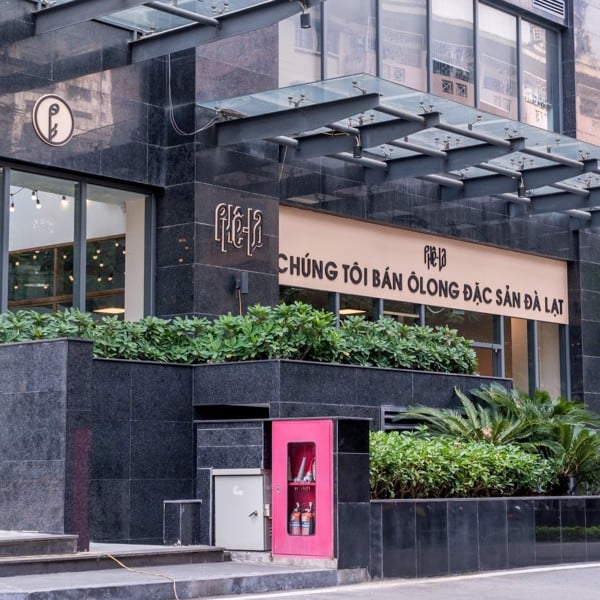 phe la le van thiem 12