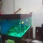  60m2 - 4