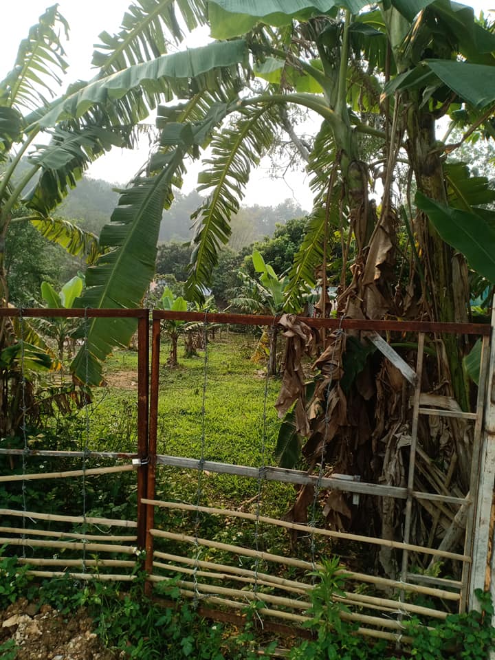 Bán đất trang trại tại Bản Vang xã Pa Khoang - thành phố Điện Biên Phủ