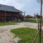  300m2 - 1