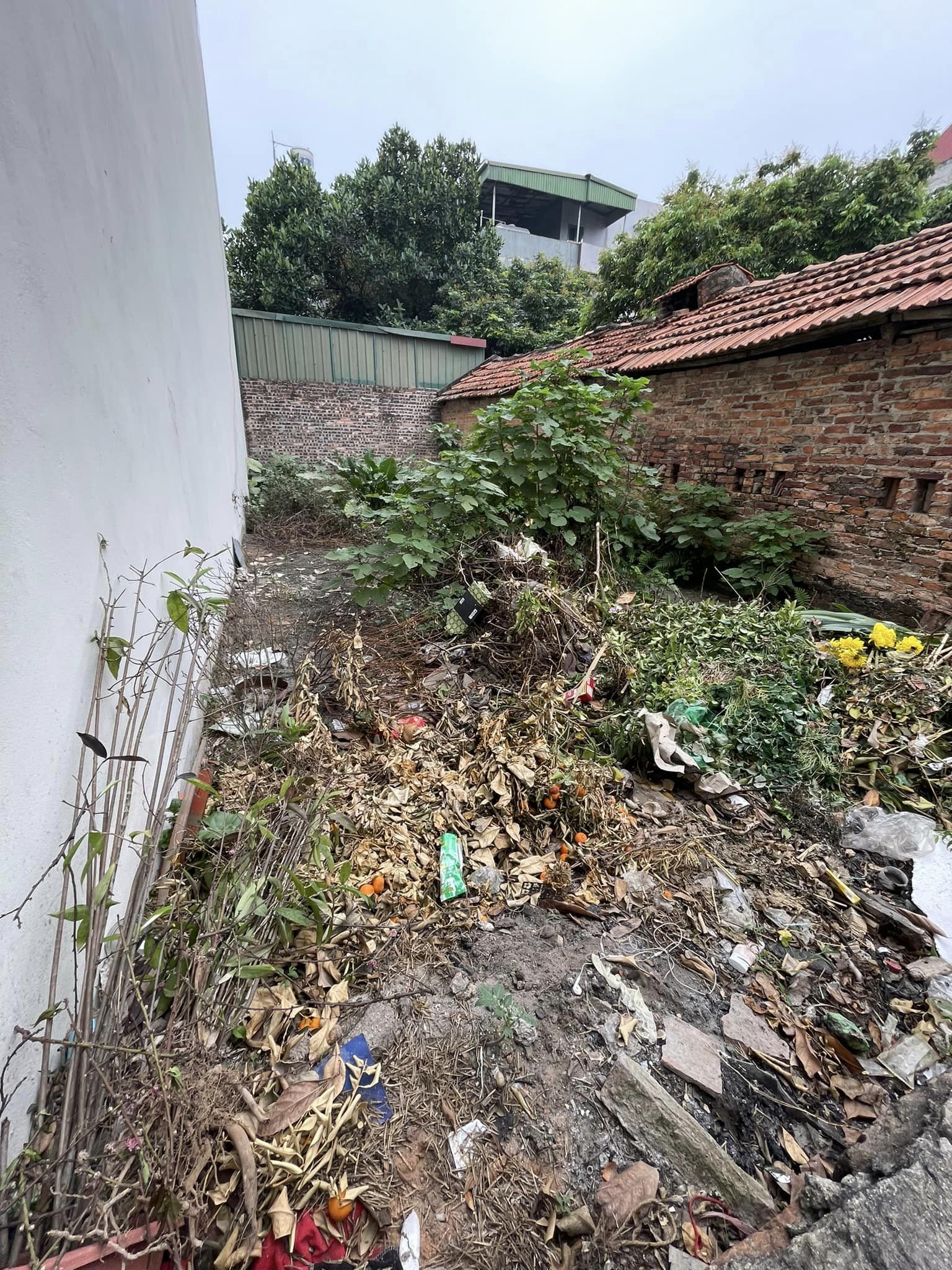 Bán đất Phan Xá, tt. Đông Anh, ngõ thông, oto, 60m, MT 4,5m giá 3 tỷ 4