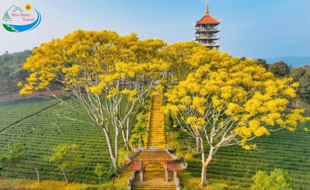 Đất khu nghĩ dưỡng Lộc Tân, Bảo Lâm. Sổ Riêng, Tặng nhà 300 triệu