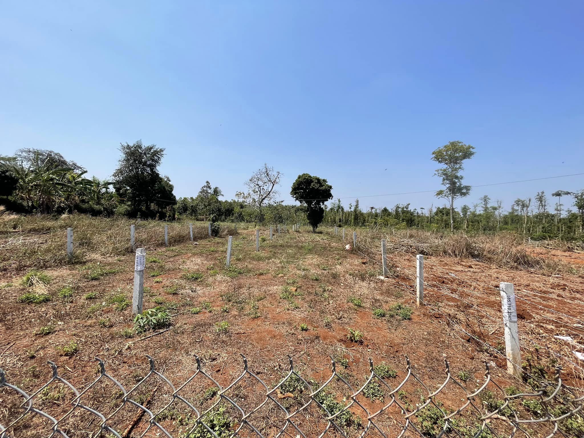 CẦN BÁN 2.4 SÀO XÃ CƯSUÊ PHÙ HỢP LÀM NHÀ VƯỜN SIÊU ĐẸP CÓ 220M2 THỔ CƯ