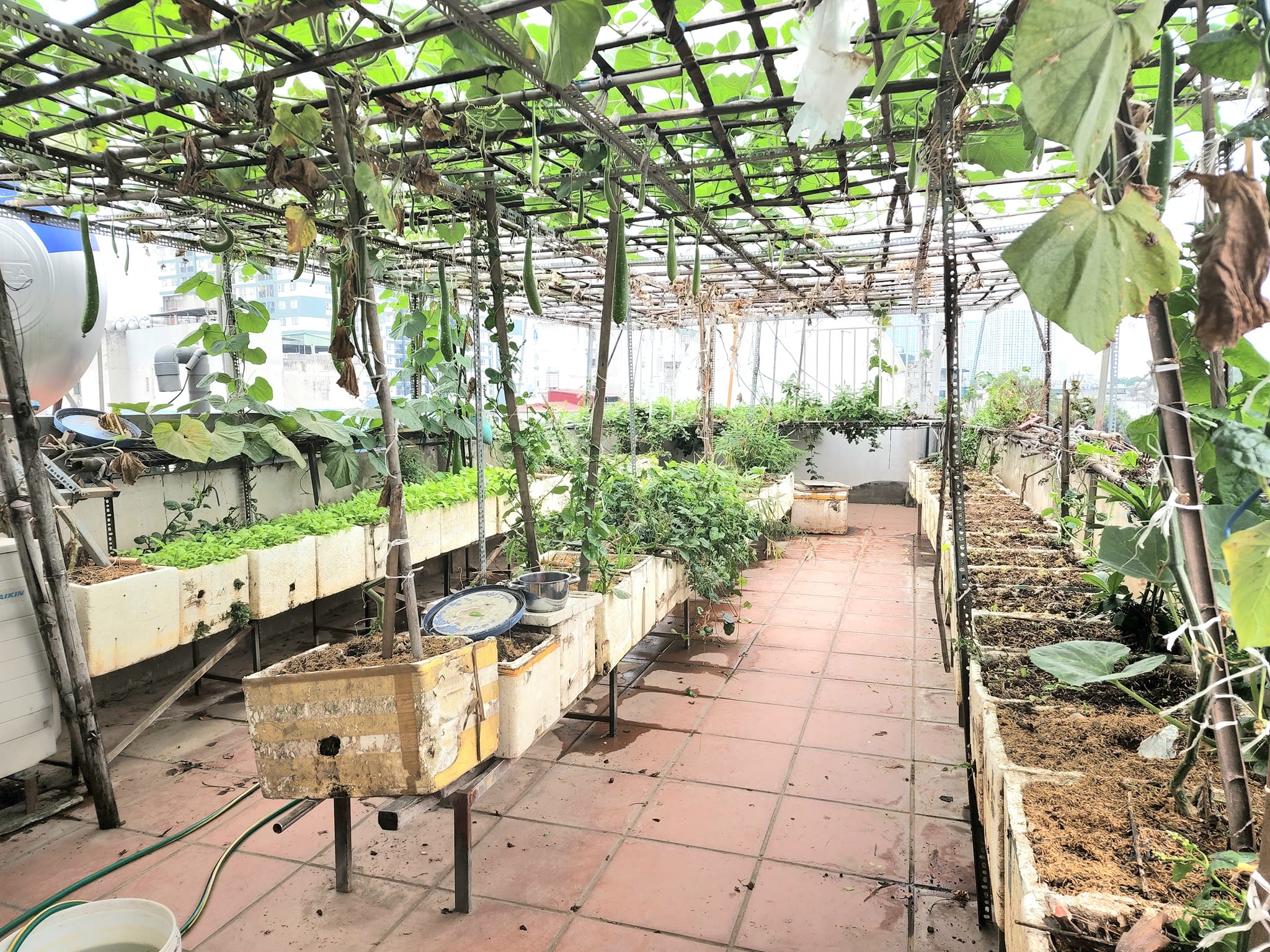 Bán nhà nhiều tầng ngõ 29 Khương Trung, kinh doanh, thang máy, 100m2 nhỉnh 20 tỷ.