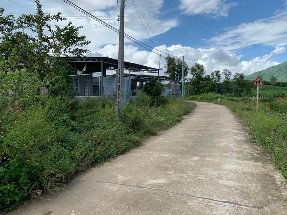 Bán Nhà Diên Lâm Diên Khánh chỉ 590tr dành cho đoi vk ck trẻ ít vốn