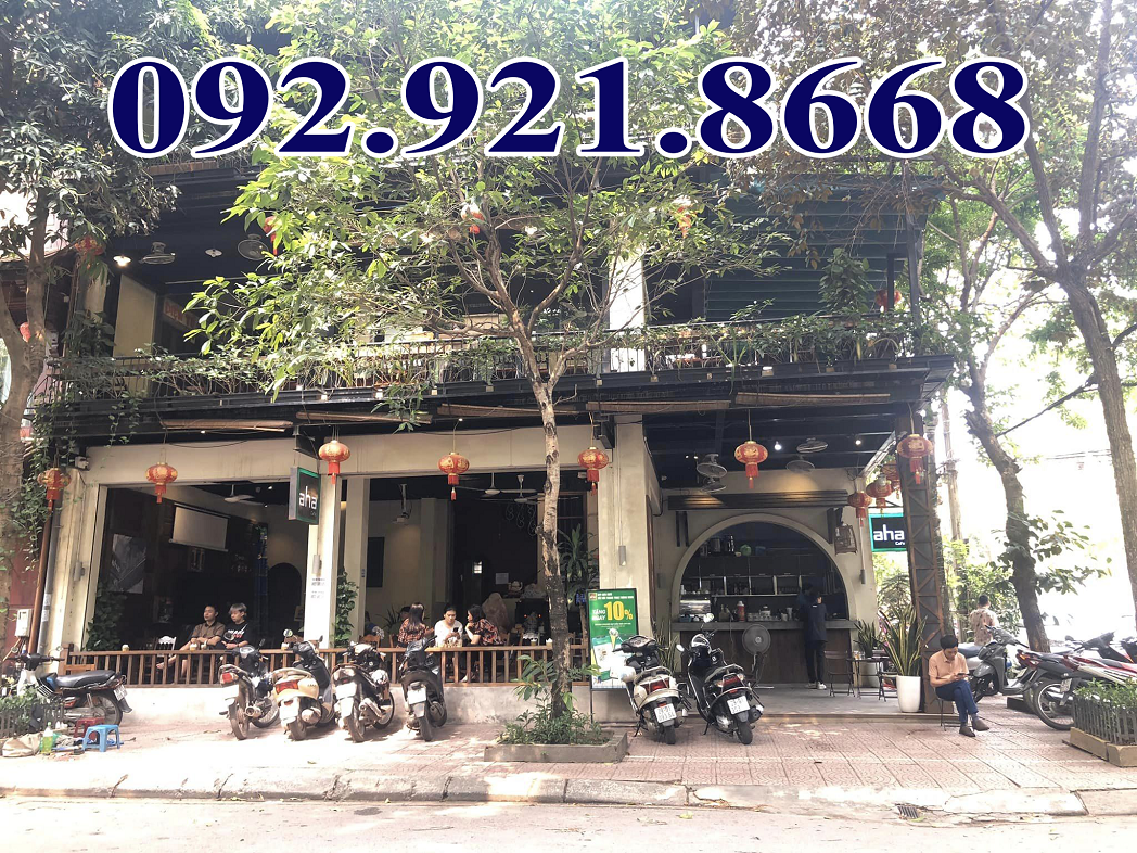 Bán biệt thự Mặt phố Nguyên Công Hoan lô góc vip nhất phố 138m2 MT 15m 59 tỷ