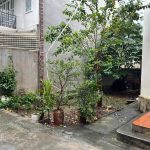 50m2 - 3