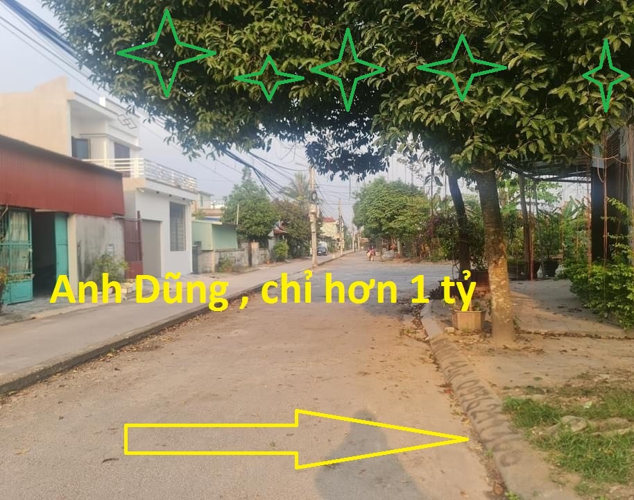 HƠn 1 tỷ Mặt đường TĐC Vườn Đốm , Anh Dũng , Dương Kinh