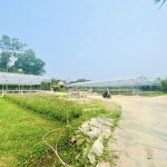  100m2 - 5