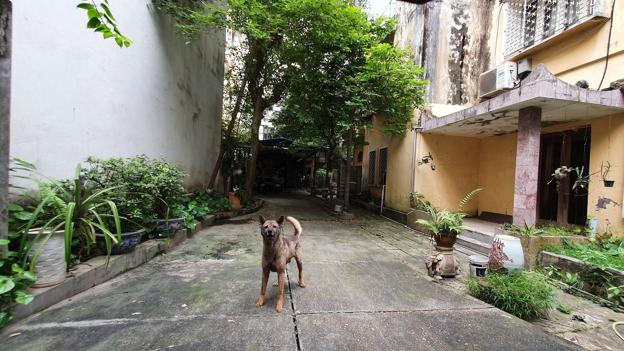 BÁN ĐẤT PHỐ LẠC LONG QUÂN - TÂY HỒ. Ô TÔ TRÁNH. XÂY CHDV HẾT Ý. DT 320M2. MT 13M. GIÁ 50 TỶ