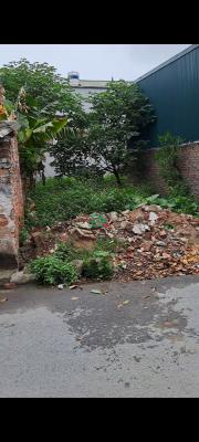 Bán Đất Cổ Dương Tiên Dương Đông Anh giá 4x đường ô tô tránh diện tích 60m2