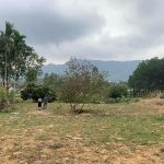  11000m2 - 3