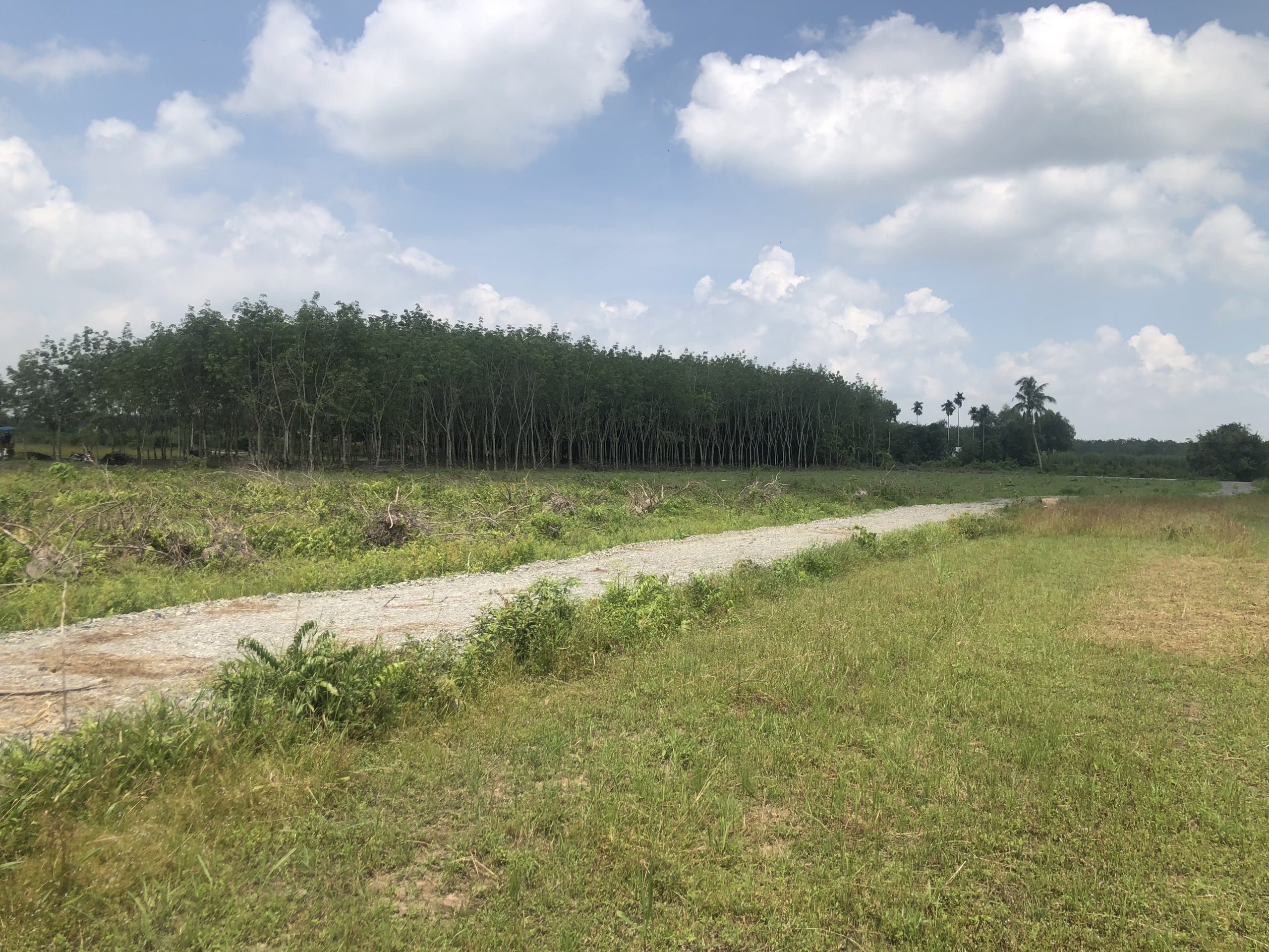 Đất Gò Dầu Giá Rẻ, Sát Bên KCN Hiệp Thạnh