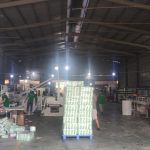  1000m2 - 4