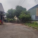  1000m2 - 6