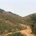  60000m2 - 1