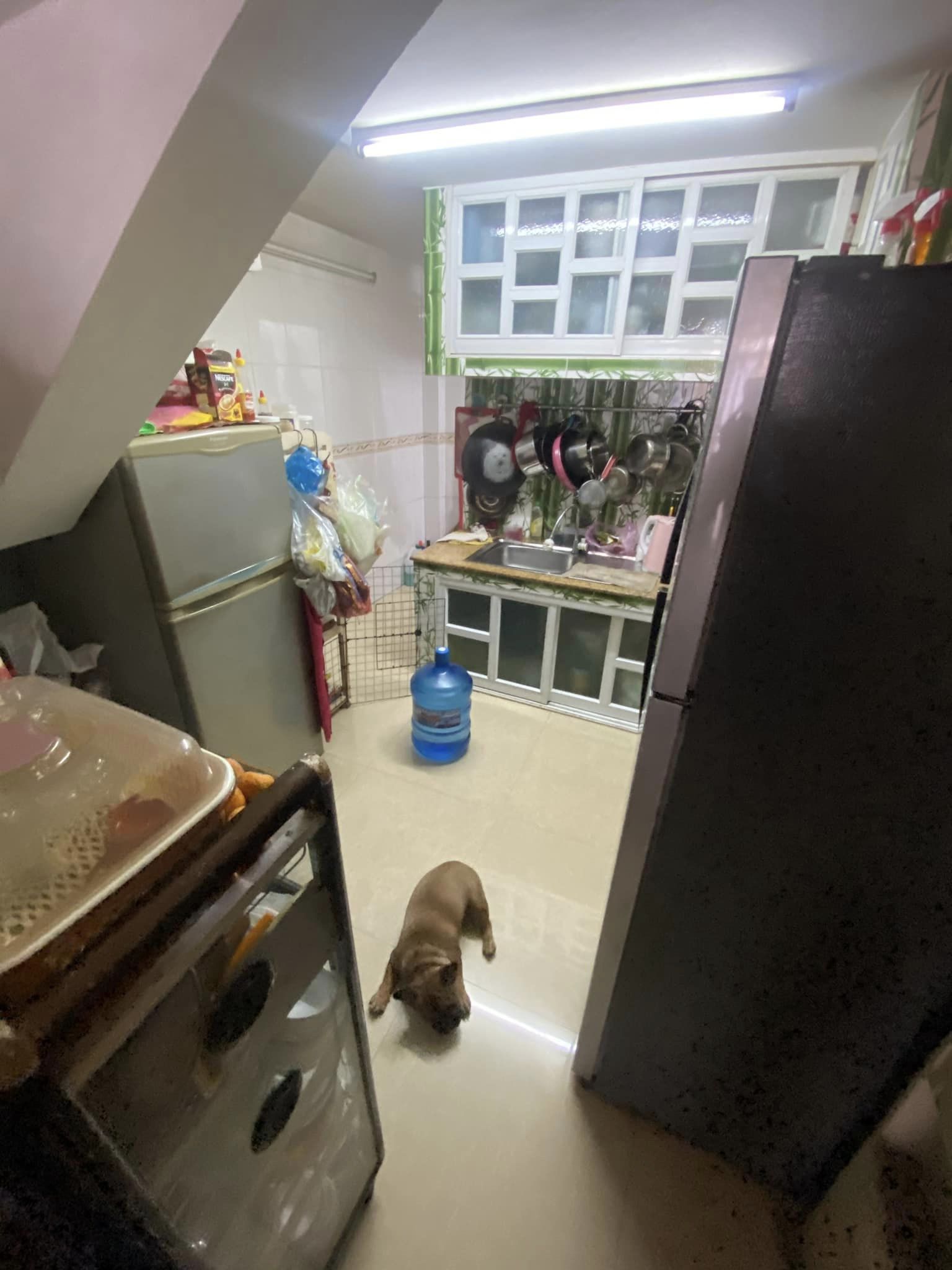 BÁN NHÀ HẺM 26A LẠC LONG QUÂN, 5 TẦNG HOÀNH TRÁNG, 5PN, NHỈNH 6 TỶ