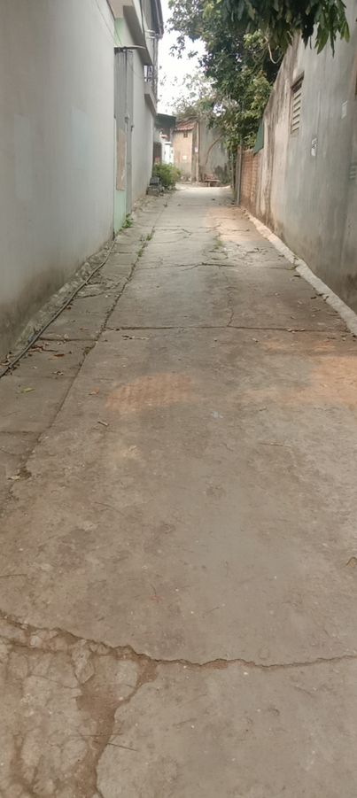 60m2