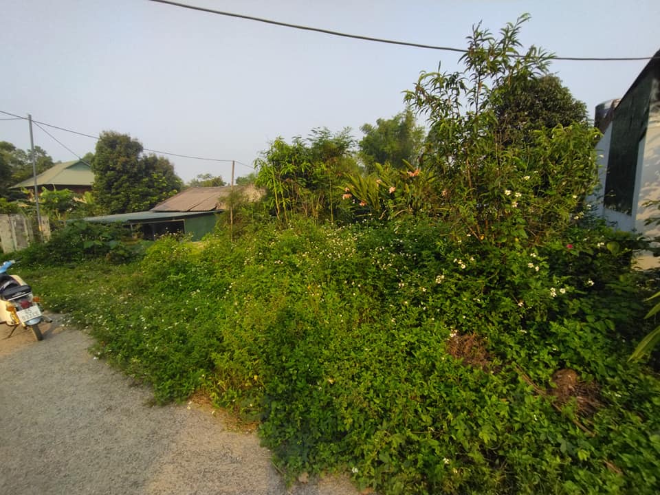 Bán nhanh đất vườn ở Na Púng phường Thanh Trường, TP. Điện biên Phủ