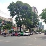  800m2 - 3