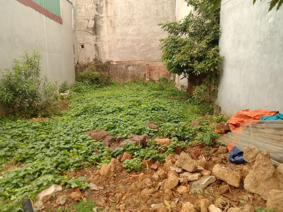 Bán đất ở tổ dân phố 13 phường Nam Thanh