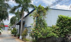 chính chủ cho thuê kho nhiều loại diện tích giá cả hợp lý