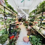  60m2 - 3