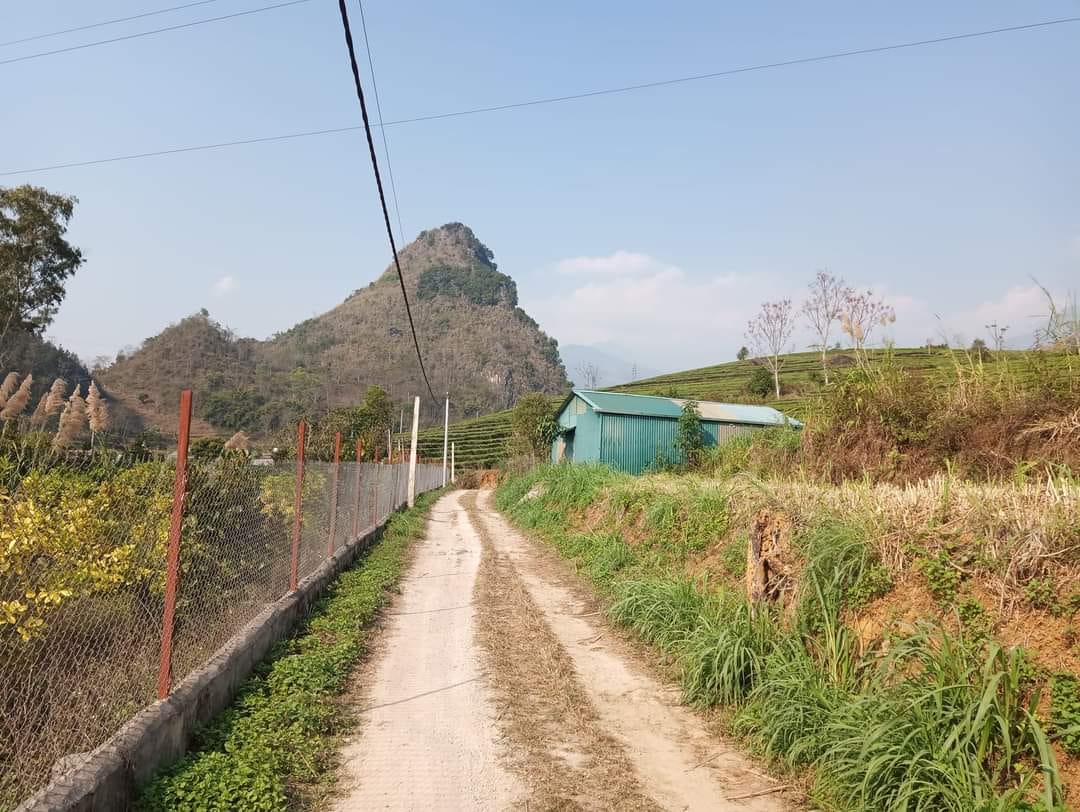 Bán đất tại xã Ảng Tơ - huyện Mường Ẳng - tỉnh Điện Biên