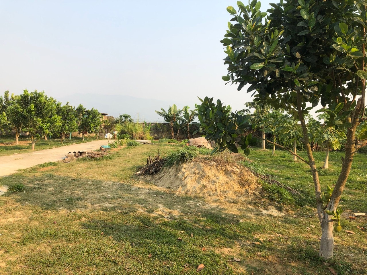 Mình cần bán mảnh đất tại địa chỉ tổ 14 ( tổ 5 mới ), Phường Tân Thanh