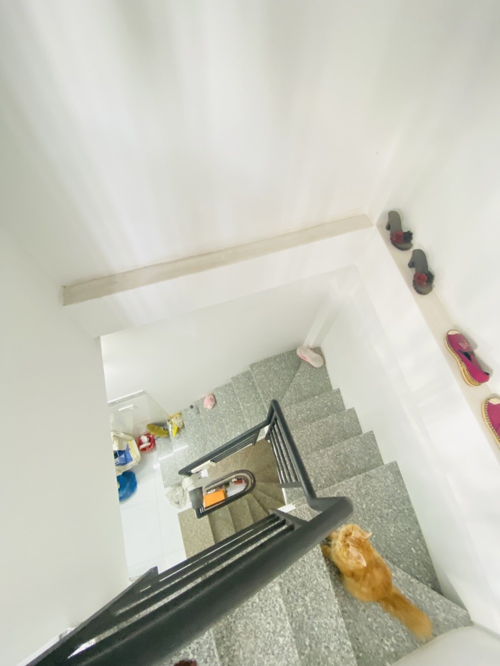 Siêu phẩm Lý Thường Kiệt, Tân Bình, 6 tầng, hẻm 8m, chỉ 5 tỷ 99