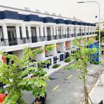  100m2 - 1