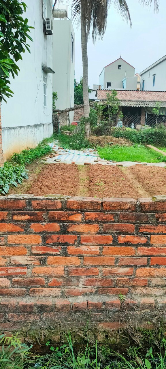 Bán đất Đình Trung Xuân Nộn Đông Anh, đường ô tô tránh,ngõ thông, full thổ cư