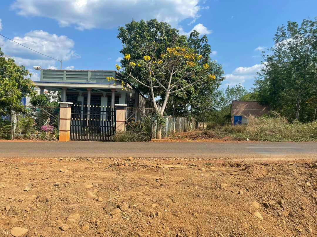 NỢ GIANG HỒ gia đình tôi bán lỗ 150TR mảnh vườn 1000m2 ngay chợ, KCN,