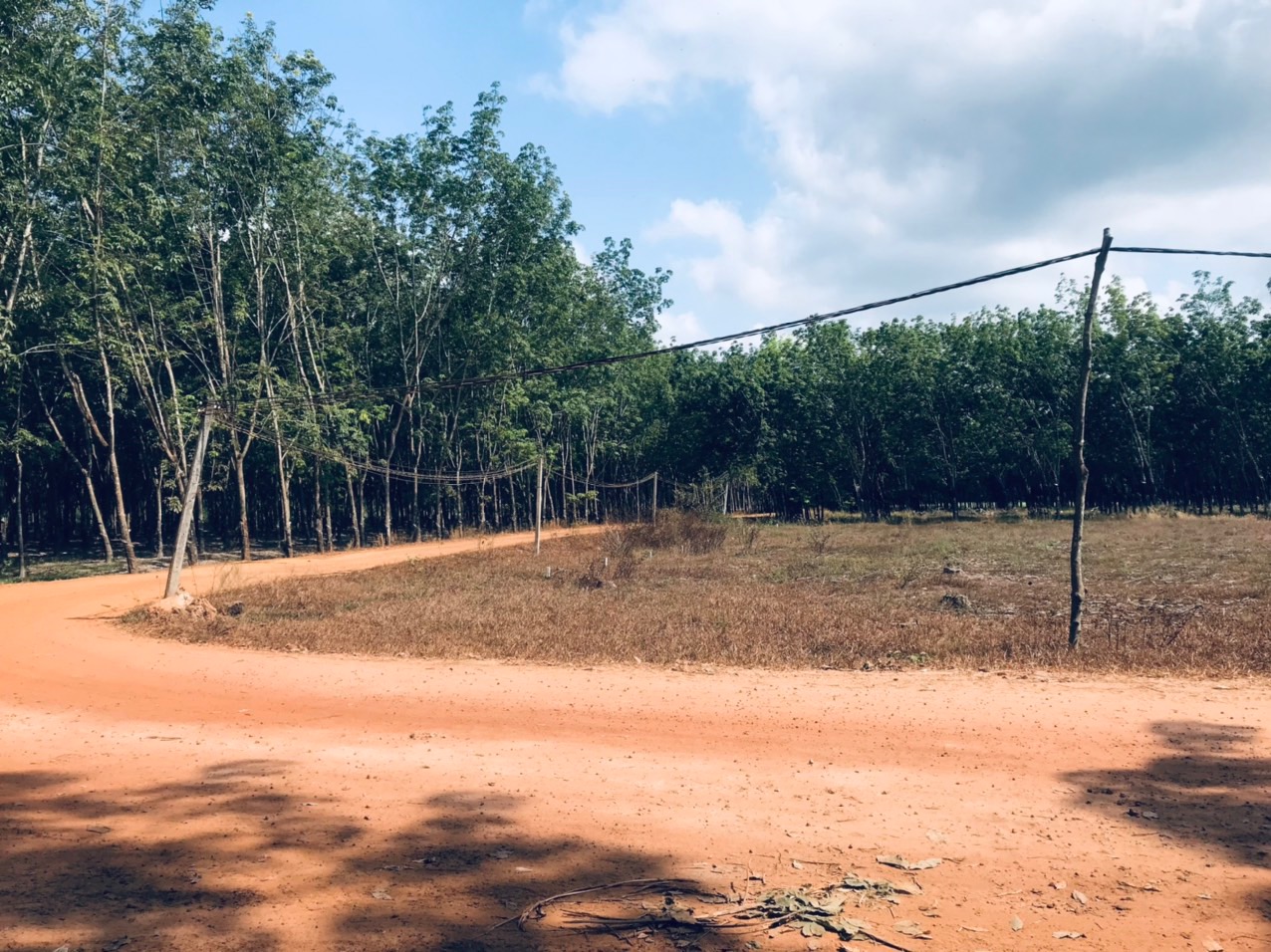 Bán gấp miếng đất 186m2 ngay trường tiểu học Thạnh Bình B, Tân Biên, Tây Ninh. Giá 470tr, SHR